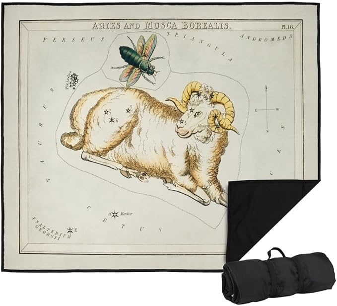 LOGOVISION bCreative - Graffitee Studios - S Hall Picnic Outdoor Blanket, 50"x60" Vintage Aries Zodiac, Foldable Blanket for Picnic, Beach, Camping, Park, Tailgate - Aries Blanket for men