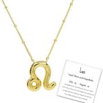 DIOWUS - Leo Necklace for men