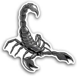 2 (Pieces) 3" and 5" Scorpio Decal Sticker, Waterproof Vinyl Decals for Many Purpose Like Cars, Trucks, Laptops, Phones, Windows and More - Scorpio Sticker for men