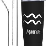 Aquarius Sign Car Cup Coffee Travel Mug Stainless Steel Straw Travel Tumbler Vacuum Insulated Keep Cold - Aquarius Mug for men