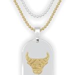Fablinks Zodiac Necklaces for Women and Men - Stainless Steel Gold and Silver Dog Tag Pendant with Ball Chain, Astrology Stars Constellation Necklace, Celestial Horoscope Sign Pendant Jewelry - Taurus Products for men