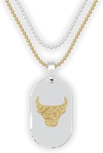 Fablinks Zodiac Necklaces for Women and Men - Stainless Steel Gold and Silver Dog Tag Pendant with Ball Chain, Astrology Stars Constellation Necklace, Celestial Horoscope Sign Pendant Jewelry - Taurus Products for men