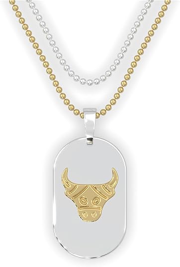 Fablinks Zodiac Necklaces for Women and Men - Stainless Steel Gold and Silver Dog Tag Pendant with Ball Chain, Astrology Stars Constellation Necklace, Celestial Horoscope Sign Pendant Jewelry - Taurus Products for men