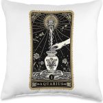 Aquarius Zodiac Tarot Card Throw Pillow - Aquarius Pillow for men