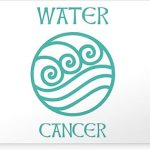 CafePress Water Sign Symbol Astrology Pisces Sticker Rectangle Bumper Sticker Car Decal - Pisces Car Accessories for men