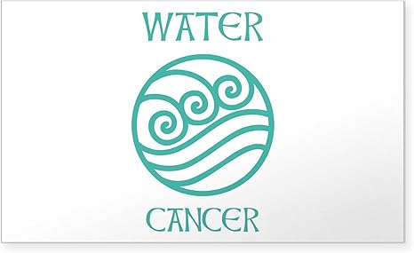 CafePress Water Sign Symbol Astrology Pisces Sticker Rectangle Bumper Sticker Car Decal - Pisces Car Accessories for men