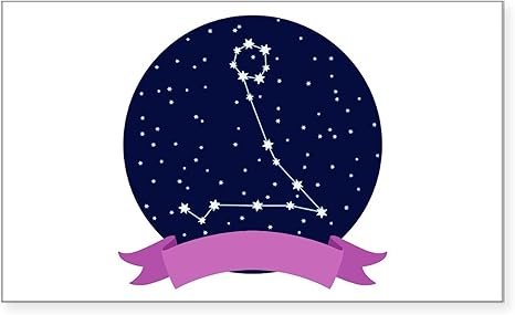 CafePress Constellation Pisces Sticker Rectangle Bumper Sticker Car Decal - Pisces Car Accessories for men