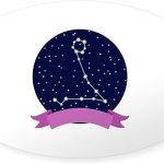 CafePress Constellation Pisces Sticker Oval Car Bumper Sticker - Pisces Car Accessories for men