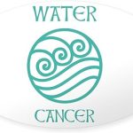 CafePress Water Sign Symbol Astrology Pisces Sticker Oval Car Bumper Sticker - Pisces Car Accessories for men