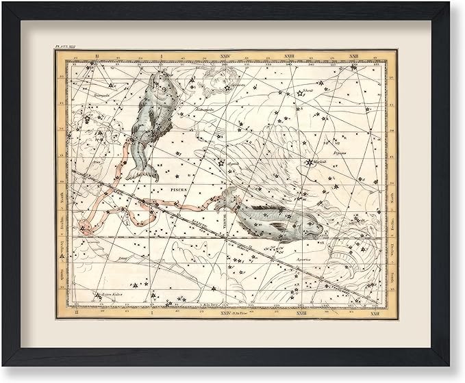 Poster Master Pisces the Fish Zodiac Sign Poster - Great Vintage Zodiac Poster, Astrology and Aptitude Vintage Home Wall Decor for Astrology Enthusiasts, 18x24 Unframed Wall Art - Pisces Canvas for men
