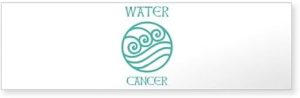 CafePress Water Sign Symbol Astrology Pisces 10"x3" Rectangle Vinyl Bumper Sticker Car Decal - Pisces Car Accessories for men
