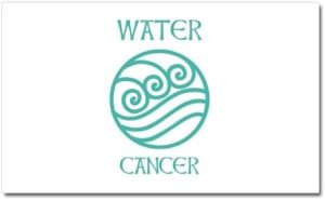 CafePress Water Sign Symbol Astrology Pisces Car Magnet 20 X Car Magnet, 20"x 12" Magnetic Door Display - Pisces Car Accessories for men