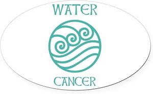 CafePress Water Sign Symbol Astrology Pisces Euro Oval Car Bumper Magnet - Pisces Car Accessories for men