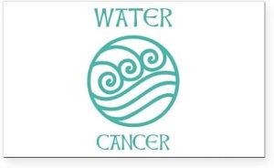 CafePress Water Sign Symbol Astrology Pisces Rectangle Car M Rectangle Car Bumper Magnet - Pisces Car Accessories for men