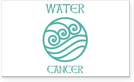 CafePress Water Sign Symbol Astrology Pisces Rectangle Car M Rectangle Car Bumper Magnet - Pisces Car Accessories for men