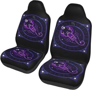 Scorpio Zodiac Sign Astrology Constellations Car Seat Covers 2 Pack Universal Bucket Front Steats Cover Protector Cushion for Truck SUV Van - Aquarius Car Seat Cover for men