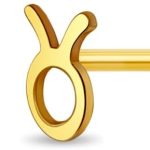 In Season Jewelry - Taurus Earrings for men