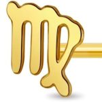 In Season Jewelry - Virgo Earrings for men