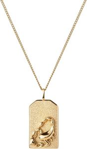 JENNY BIRD Zodiac Pendant Necklace - Scorpio Accessories for men