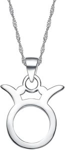 Men's Women's Stainless Steel High Polished 12 Constellations Horoscope Signs Symbol Pendant Simple Couple Necklace - Taurus Products for men