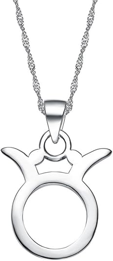 Men's Women's Stainless Steel High Polished 12 Constellations Horoscope Signs Symbol Pendant Simple Couple Necklace - Taurus Products for men