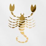 Decal Stickers of Scorpio (Metallic Gold) (Set of 2) Premium Waterproof Vinyl Decal Stickers for Laptop Smartphone Car Dirt Bike Wall Room Mason Jar Bathtub Door - BICVER1023062GOW19Y24 - Scorpio Sticker for men