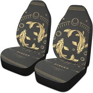 Zodiac-symbol-pisces Front Car Seat Covers Set of 1, Bucket Seats Protector Decor Fit Most Vehicle, Cars, Sedan, Truck, SUV, Van - Aquarius Car Seat Cover for men