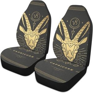 Zodiac-symbol-capricorn Front Car Seat Covers Set of 1, Bucket Seats Protector Decor Fit Most Vehicle, Cars, Sedan, Truck, SUV, Van - Aquarius Car Seat Cover for men