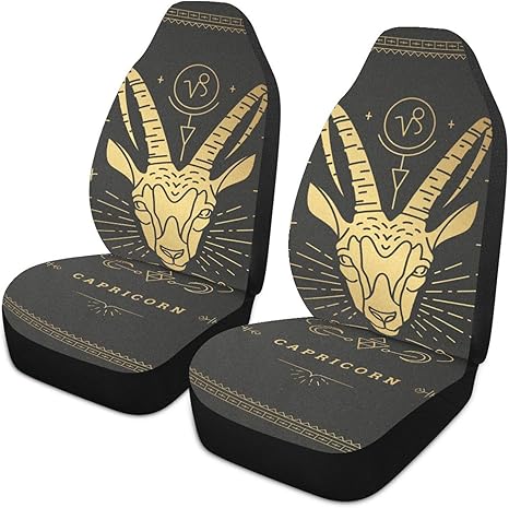 Zodiac-symbol-capricorn Front Car Seat Covers Set of 1, Bucket Seats Protector Decor Fit Most Vehicle, Cars, Sedan, Truck, SUV, Van - Aquarius Car Seat Cover for men