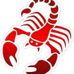 Scorpio Zodiac Sign Astrology Sticker, Laptop Water Bottle Tumbler Car Truck Bumper Helmet Tablet Phone Gift Wall Window Sticker (2 Inches (Small), Glossy White) - Scorpio Sticker for men