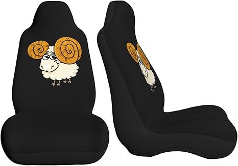 Cartoon Aries Constellation Car Seat Covers Front Seat Covers Protector Car Interior Decor Set of 2 Fit Most Car Seat Covers for Car SUV Truck Sedan - Aquarius Car Seat Cover for men