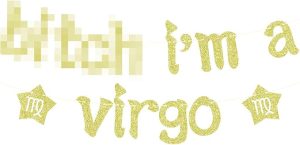 I'm a Virgo Banner, Virgo Birthday Bunt Sign, Virgo Season, 12 Zodiac Constellations Birthday Party Decorations Gold Glitter - Virgo Poster for men