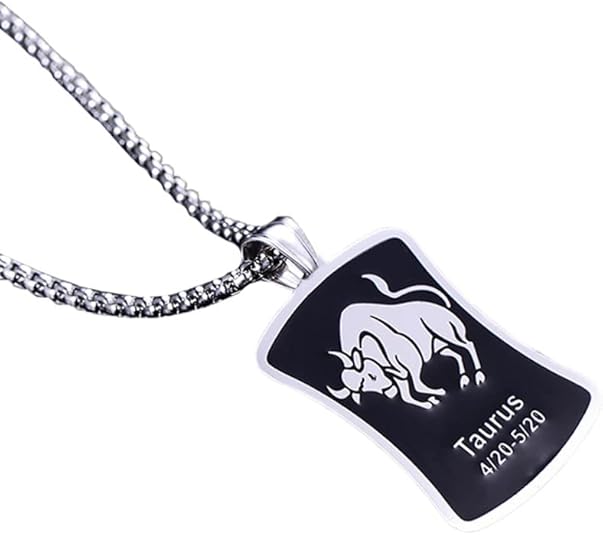 HIJONES Women Men's 12 Constellation Horoscope Square Tag Pendant Necklace Stainless Steel Birth Star Sign Personalized Pendant Chain Jewelry - Taurus Products for men
