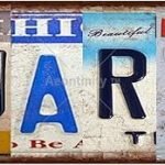 AQUARIUS Zodiac Sign Vintage Metal Tin Street Sign Bar Cafe Garage Cave Home Room Wall Bathroom Farmhouse Garden Porch Patio Decor, 16 x 4 Inch - Aquarius Pillow for men