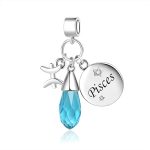 NARTGO Teardrop Birthstone 12 Constellation Charms for Women Horoscope Zodiac Sign Birthday Beads Compatible with Pandora Bracelets & Necklaces - Pisces for men