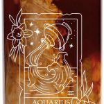 Aquarius Zodiac Gifts for Women, January February Birthday, 12 Astrology Lovers 16 Oz Can Glass Cup, Constellation Horoscope Gift, Aquarius Decorations - Aquarius Mug for men