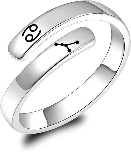 925 Sterling Silver Zodiac Sign Rings Adjustable 12 Constellation Astrology Rings Jewelry Gifts for Women - Aries Ring for men