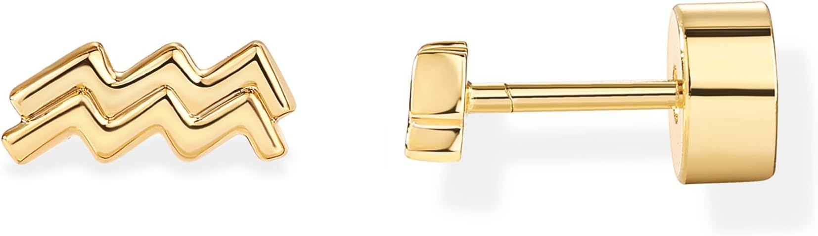 PAVOI - Taurus Earrings for men