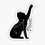 Pisces Cat Zodiac Sticker Decal, 5 inches | Water Proof | for car Bumper, Notebook, tumblers Sticker - Pisces Car Accessories for men
