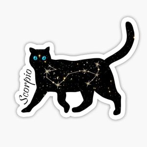 Scorpio Cat Zodiac Sticker Decal, 5 inches | Water Proof | for car Bumper, Notebook, tumblers Sticker - Scorpio Sticker for men