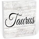 Wooden Box Sign, Taurus Wood Block Plaque Sign Rustic Farmhouse Square Desk Decor For Home Office Shelf Decor 5 X 5 In - Taurus Products for men