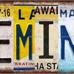 GEMINI Zodiac Sign Vintage Metal Tin Sign, License Plate, Home Decor, Room Decor, Wall Decor, Bathroom Decor, Bar Decor, Cafe Decor, Garage Decor, 12 x 6 Inch - Gemini Canvas for men