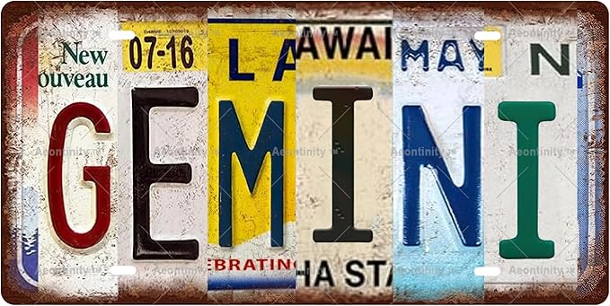 GEMINI Zodiac Sign Vintage Metal Tin Sign, License Plate, Home Decor, Room Decor, Wall Decor, Bathroom Decor, Bar Decor, Cafe Decor, Garage Decor, 12 x 6 Inch - Gemini Canvas for men