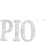 Scorpio Baby Banner, 12 Constellation Zodiac Scorpio, Horoscope, Astrology October November Baby Shower Baby's Birthday Party Decorations Supplies, Black Glitter - Scorpio Products for men