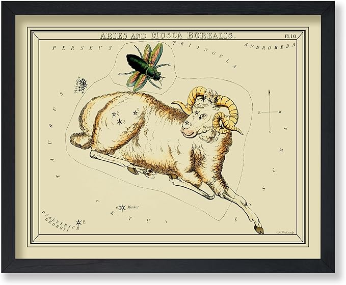 Monem Art Astrology Posters, Aries Zodiac Constellation Poster, 8x10 Unframed Art Print, Great Vintage Zodiac Poster, Astrology and Aptitude Vintage Home Wall Decor for Astrology Enthusiasts - Aries Poster for men