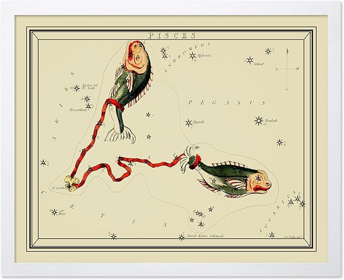 Monem Art Astrology Posters, Pisces Zodiac Constellation Poster - Great Vintage Zodiac Poster, Astrology and Aptitude Vintage Home Wall Decor for Astrology Enthusiasts, 16x20 White Framed - Pisces Canvas for men