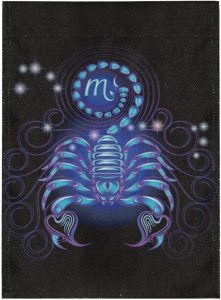 Scorpio Zodiac Signs Garden Flag 12 x 18 Inch,Double Sided Decorative Yard Outdoor Flag - Scorpio Products for men