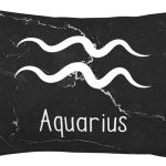 Aquarius Sign Pillow Cover Double Sided Plush Square Throw Pillow Cover, for Sofa Bedroom Livingroom Decoration 14"x20" - Aquarius Pillow for men
