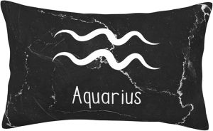 Aquarius Sign Pillow Cover Double Sided Plush Square Throw Pillow Cover, for Sofa Bedroom Livingroom Decoration 14"x20" - Aquarius Pillow for men