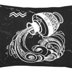Zodiac Sign Aquarius Pillow Cover Double Sided Plush Square Throw Pillow Cover, for Sofa Bedroom Livingroom Decoration 16"x24" - Aquarius Pillow for men
